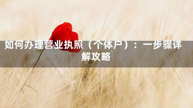 如何办理营业执照（个体户）：一步骤详解攻略