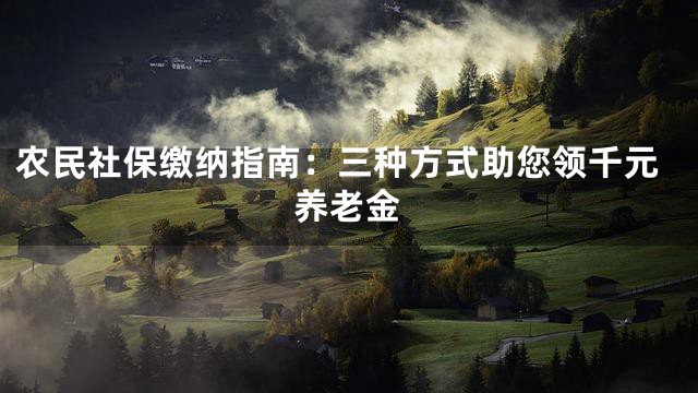 农民社保缴纳指南：三种方式助您领千元养老金