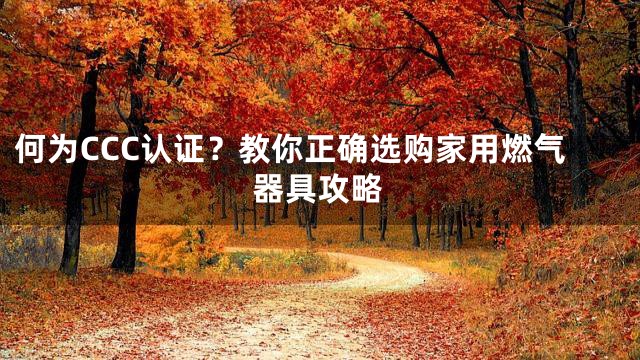 何为CCC认证？教你正确选购家用燃气器具攻略