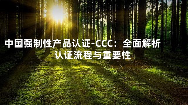 中国强制性产品认证-CCC：全面解析认证流程与重要性