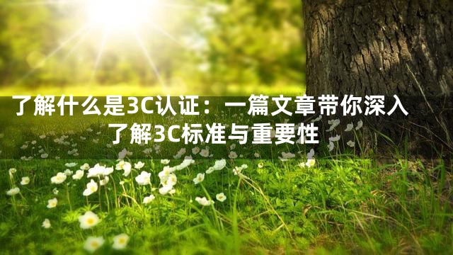 了解什么是3C认证：一篇文章带你深入了解3C标准与重要性
