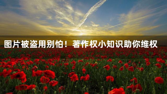 图片被盗用别怕！著作权小知识助你维权