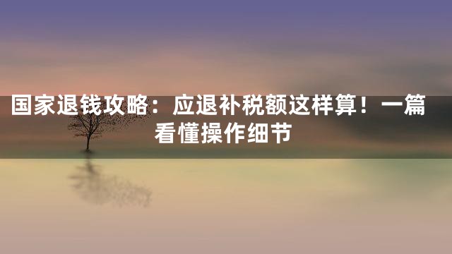 国家退钱攻略：应退补税额这样算！一篇看懂操作细节