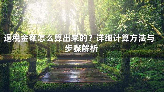 退税金额怎么算出来的？详细计算方法与步骤解析
