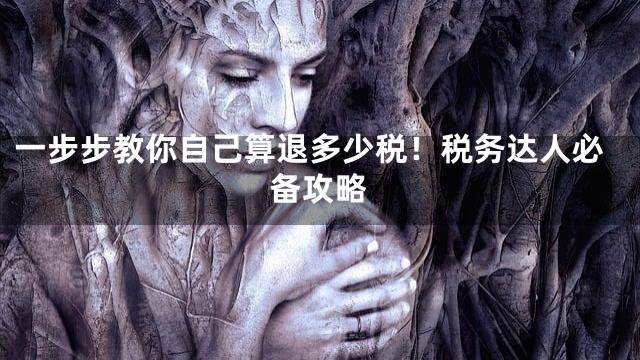 一步步教你自己算退多少税！税务达人必备攻略