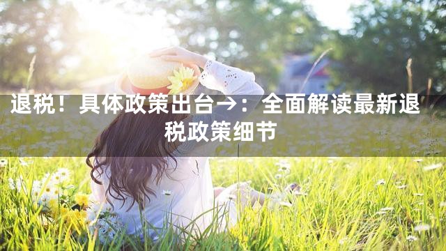 退税！具体政策出台→：全面解读最新退税政策细节