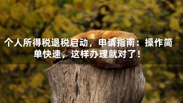 个人所得税退税启动，申请指南：操作简单快速，这样办理就对了！