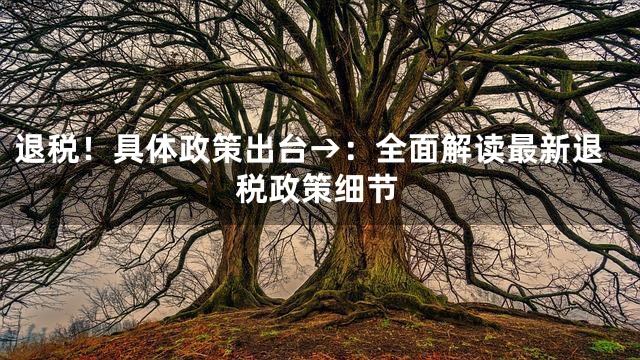 退税！具体政策出台→：全面解读最新退税政策细节