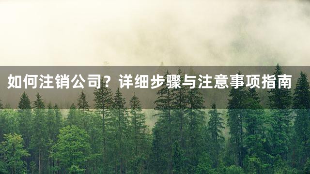 如何注销公司？详细步骤与注意事项指南