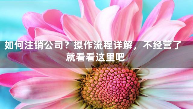 如何注销公司？操作流程详解，不经营了就看看这里吧