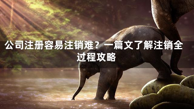 公司注册容易注销难？一篇文了解注销全过程攻略