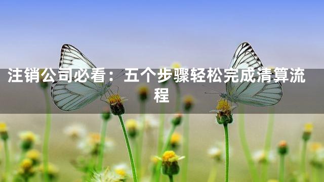 注销公司必看：五个步骤轻松完成清算流程