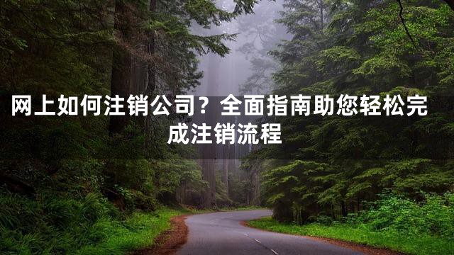 网上如何注销公司？全面指南助您轻松完成注销流程