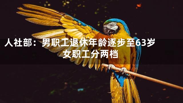 人社部：男职工退休年龄逐步至63岁 女职工分两档