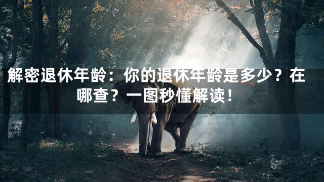 解密退休年龄：你的退休年龄是多少？在哪查？一图秒懂解读！