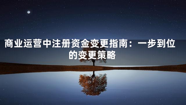 商业运营中注册资金变更指南：一步到位的变更策略