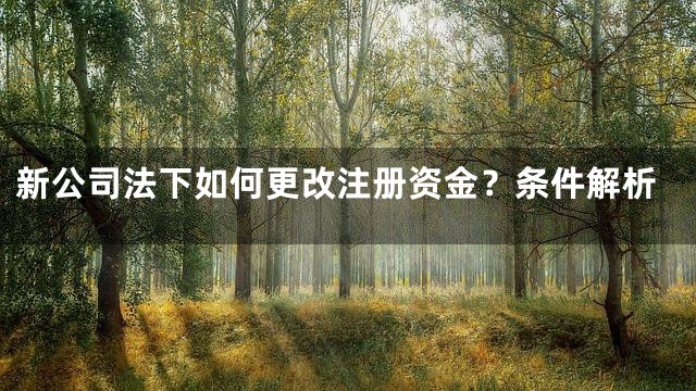 新公司法下如何更改注册资金？条件解析