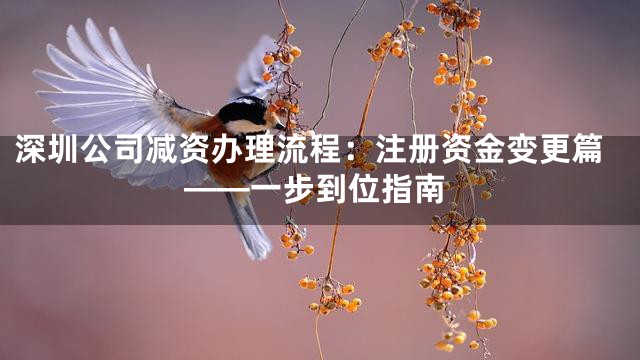 深圳公司减资办理流程：注册资金变更篇——一步到位指南