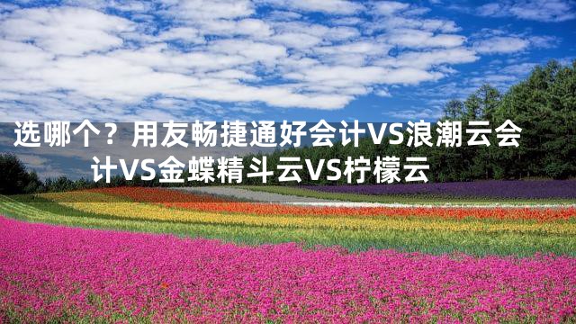 选哪个？用友畅捷通好会计VS浪潮云会计VS金蝶精斗云VS柠檬云