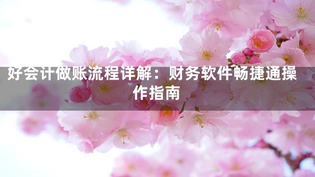 好会计做账流程详解：财务软件畅捷通操作指南