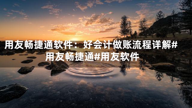 用友畅捷通软件：好会计做账流程详解#用友畅捷通#用友软件