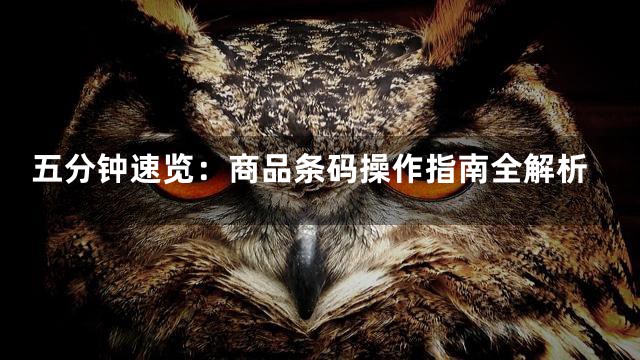 五分钟速览：商品条码操作指南全解析