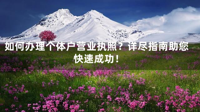 如何办理个体户营业执照？详尽指南助您快速成功！