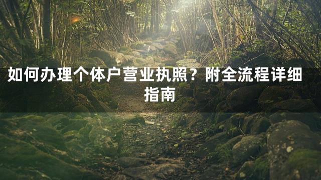 如何办理个体户营业执照？附全流程详细指南