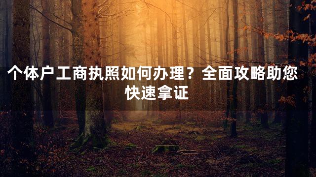 个体户工商执照如何办理？全面攻略助您快速拿证