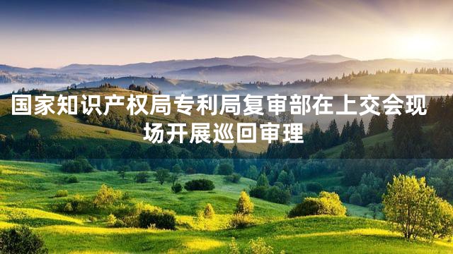 国家知识产权局专利局复审部在上交会现场开展巡回审理