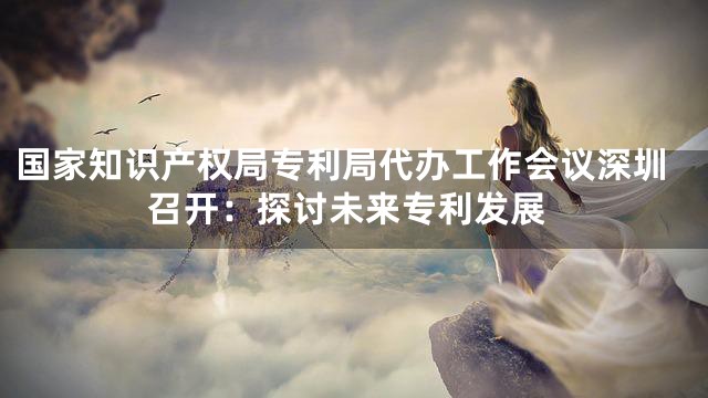 国家知识产权局专利局代办工作会议深圳召开：探讨未来专利发展