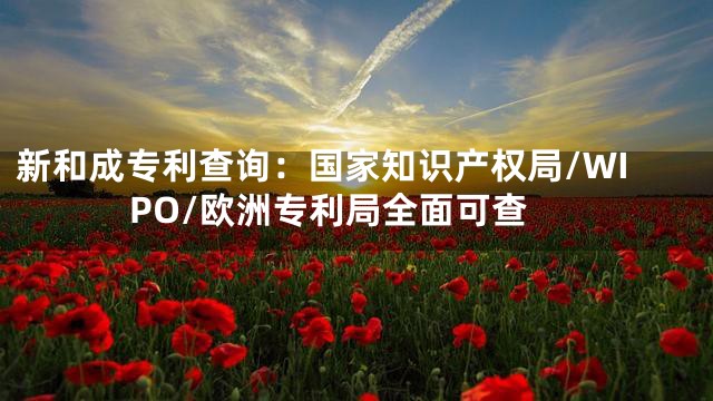 新和成专利查询：国家知识产权局/WIPO/欧洲专利局全面可查