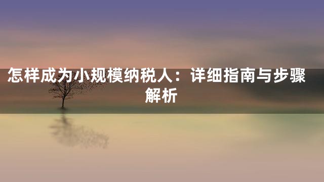 怎样成为小规模纳税人：详细指南与步骤解析