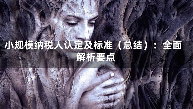 小规模纳税人认定及标准（总结）：全面解析要点