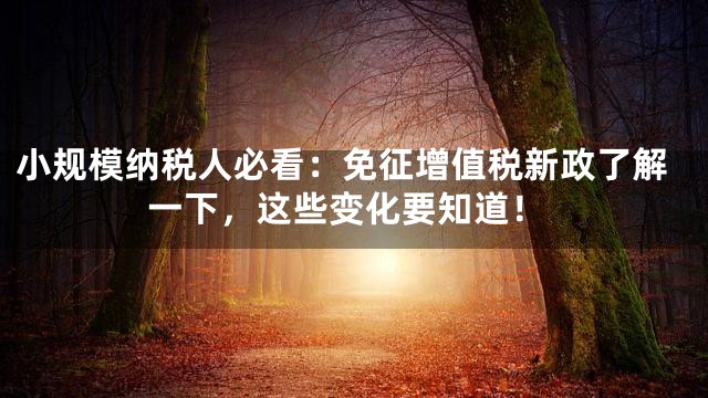 小规模纳税人必看：免征增值税新政了解一下，这些变化要知道！