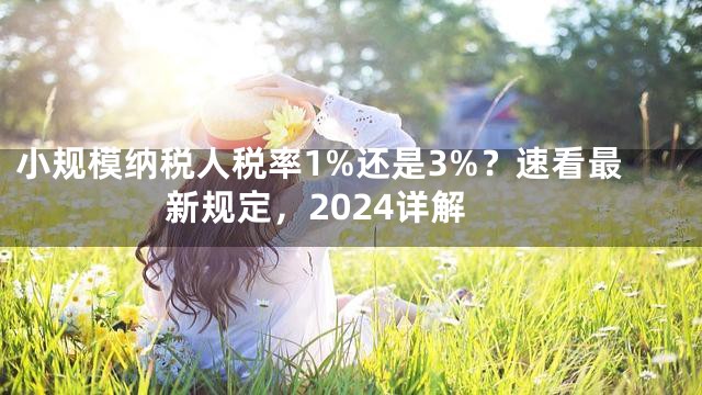 小规模纳税人税率1%还是3%？速看最新规定，2024详解