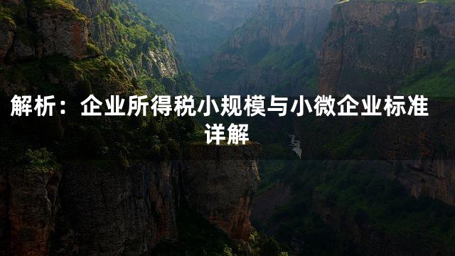 解析：企业所得税小规模与小微企业标准详解