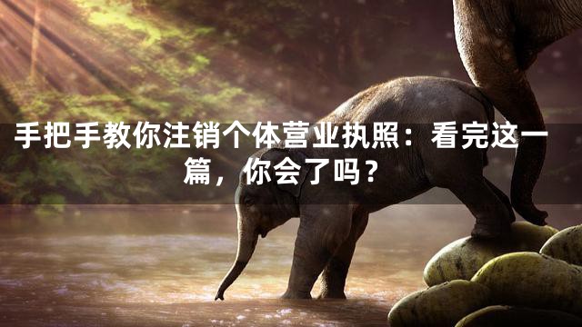 手把手教你注销个体营业执照：看完这一篇，你会了吗？