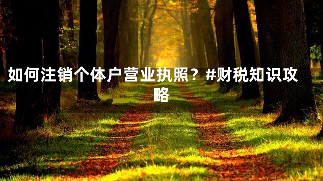 如何注销个体户营业执照？#财税知识攻略