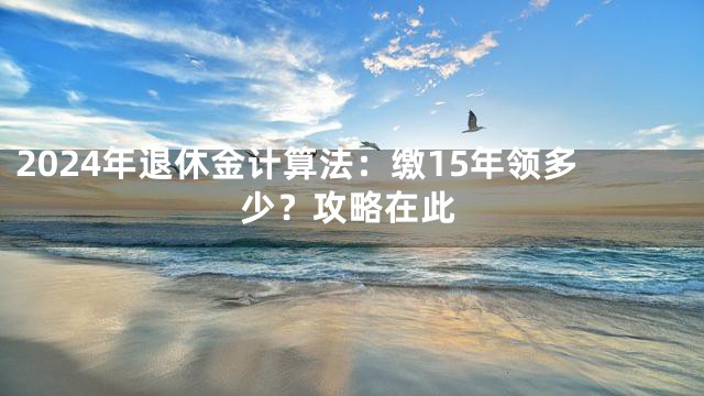 2024年退休金计算法：缴15年领多少？攻略在此