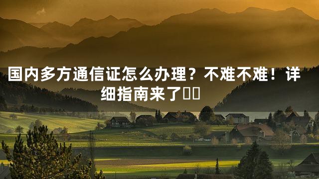 国内多方通信证怎么办理？不难不难！详细指南来了❗️