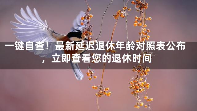 一键自查！最新延迟退休年龄对照表公布，立即查看您的退休时间