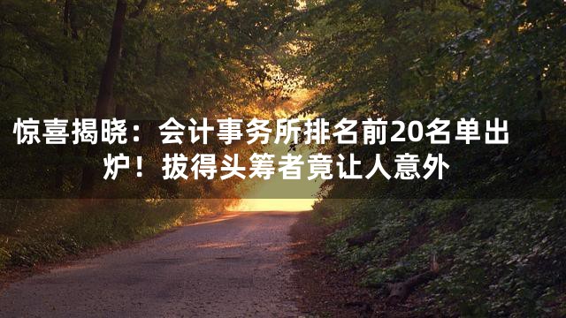 惊喜揭晓：会计事务所排名前20名单出炉！拔得头筹者竟让人意外