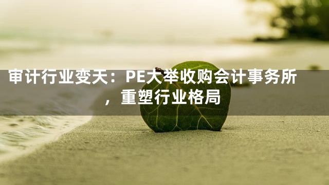 审计行业变天：PE大举收购会计事务所，重塑行业格局