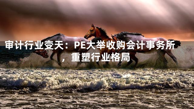 审计行业变天：PE大举收购会计事务所，重塑行业格局