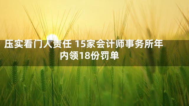 压实看门人责任 15家会计师事务所年内领18份罚单
