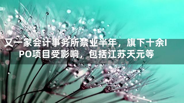 又一家会计事务所禁业半年，旗下十余IPO项目受影响，包括江苏天元等
