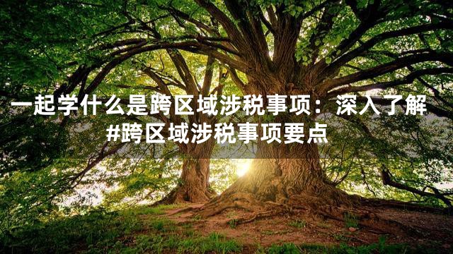 一起学什么是跨区域涉税事项：深入了解#跨区域涉税事项要点
