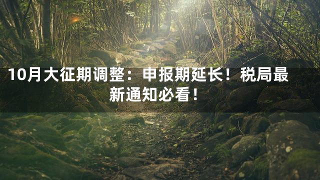 10月大征期调整：申报期延长！税局最新通知必看！