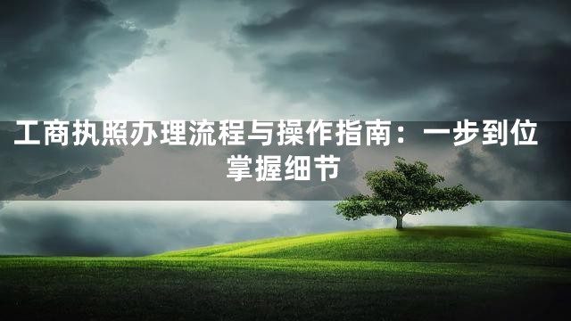 工商执照办理流程与操作指南：一步到位掌握细节